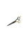 Ножиці перукарські HAIR, 160 мм, HOME & GARAGE, DIY-SC402/160-B