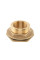 Втулка для бака РВ 3/4" - РЗ 1" з гайкою та прокладкою 1", BRASS, BR-P34100
