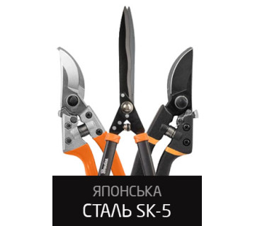 Компанія РІАЛ