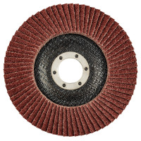 Пелюсткові круги 125 x 22.2 мм, K60
