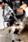 Перфоратор SDS MAX GRAPHITE 58G874, 1250 Вт, 10 Дж, 2 режими, з кейсом