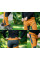 Штани робочі NEO Tools 81-292 OUTDOOR, 4-way stretch, гірчично-сірі, поліестер, вентиляція, кишені на блискавці XXL